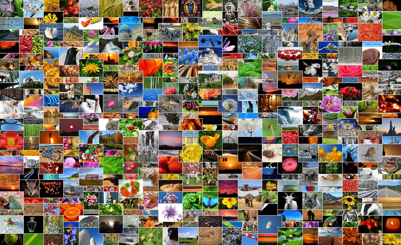 DIY Projects: Creating Photo Wall Collages